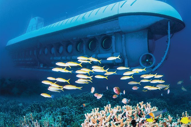 Big Island: Atlantis Submarine from Kona Beach - Price and Value: Is $160.41 a Fair Trade?