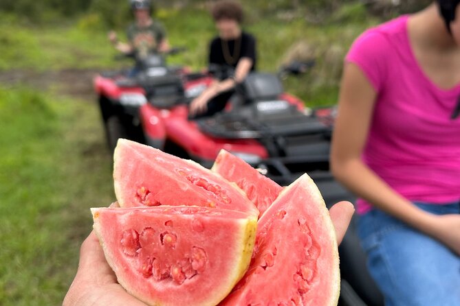 Big Island ATV Tour at Ohana Ranch - Key things I think you’ll notice fast