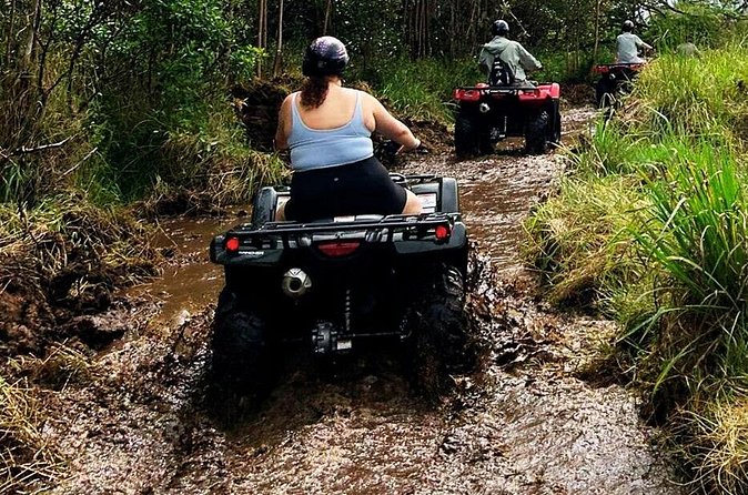 Big Island ATV Tour at Ohana Ranch - Animals, mud, and weather: what to wear and what to expect