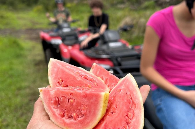 Big Island ATV Tour at Ohana Ranch - The one drawback to weigh: ATV speed vs farm talks