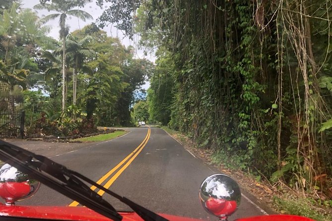 Big Island Buggy Rental on the Big Island, Hawaii - 4 Hours vs 8 Hours: Getting Real Value