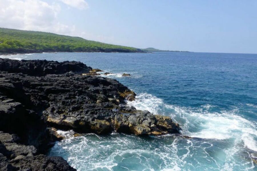 Big Island: Captain Cook Sightseeing & Snorkel Expedition - Snorkeling Kealakekua Bay: the 315-acre marine sanctuary moment