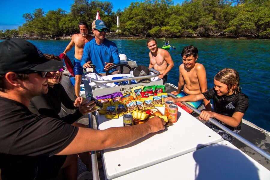 Big Island: Captain Cook Sightseeing & Snorkel Expedition - Wildlife sightings: how to think about turtles, dolphins, and whales