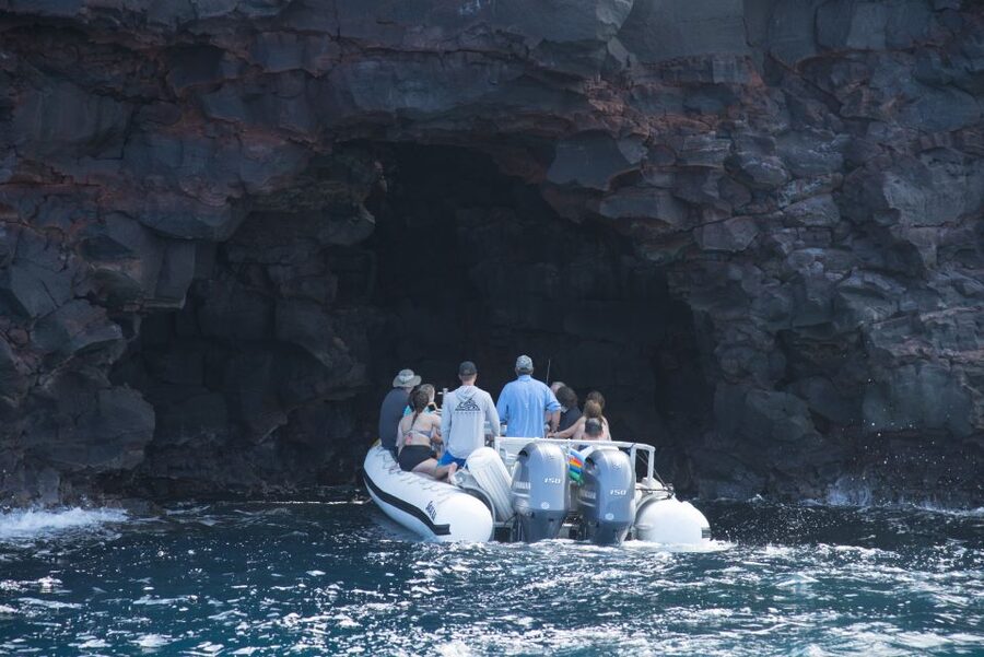 Big Island: Captain Cook Sightseeing & Snorkel Expedition - Price reality check: is $124 worth 3 hours on the Big Island?