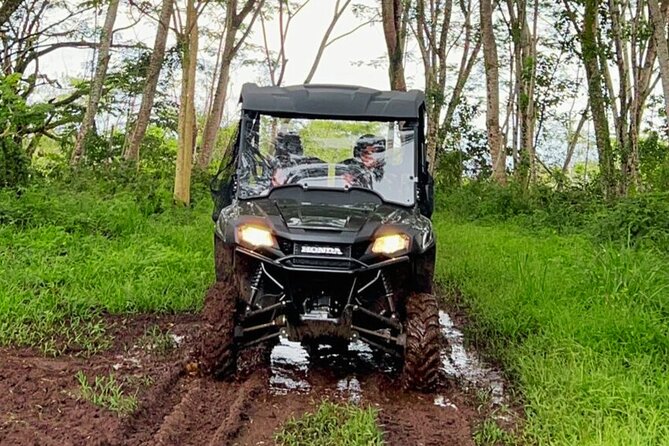 Big Island Family Off Road Farm Adventure at Ohana Ranch - Farm stops that teach without feeling like a classroom