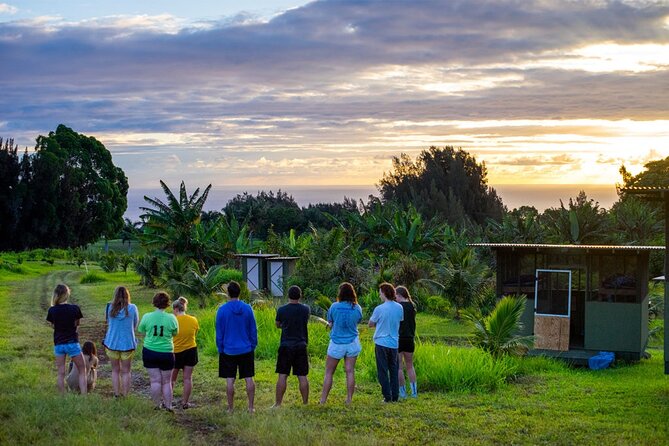 Big Island Farms Tour in Hawaii - Key things to know before you go