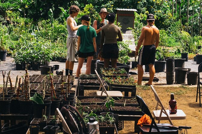 Big Island Farms Tour in Hawaii - Where the tour starts on the Big Island: Honokaa farm store ease