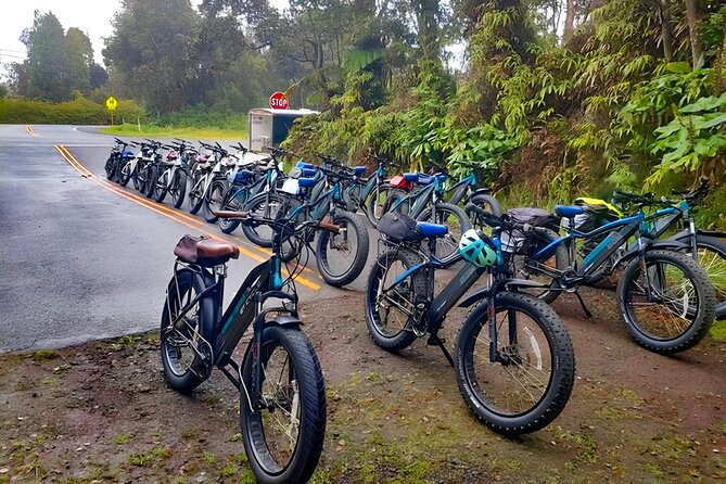 Big Island: Fat Tire E-Bike Tour through Volcanoes National Park - Price and value for $199: what you’re paying for