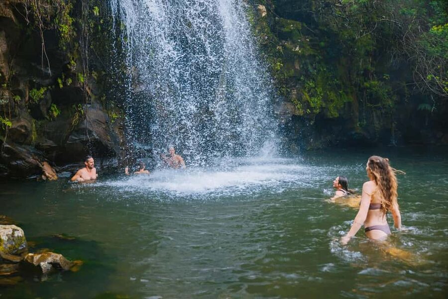 Big Island: Full Day Adventure Tour of the Kohala Waterfalls - Key highlights worth clocking