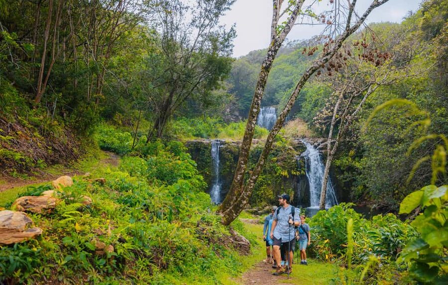 Big Island: Full Day Adventure Tour of the Kohala Waterfalls - The one-mile stream walk and where you swim