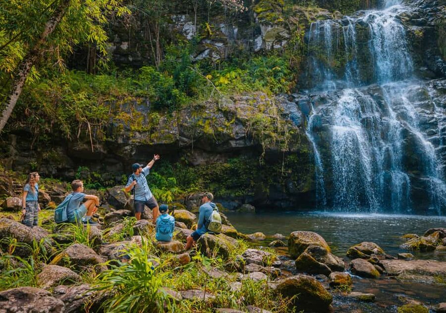 Big Island: Full Day Adventure Tour of the Kohala Waterfalls - Price and value for a $267, 7-hour Kohala day