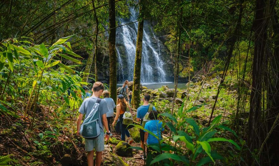 Big Island: Full Day Adventure Tour of the Kohala Waterfalls - What to pack and how to handle slick, rocky conditions