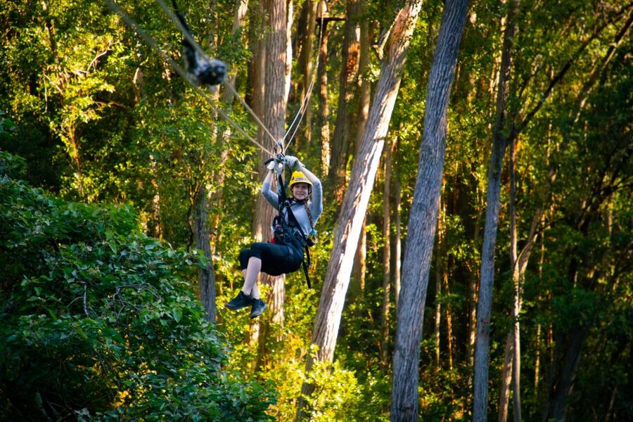 Big Island: Full-Day Kohala Zipline and Waterfall Adventure - Key Points You’ll Care About