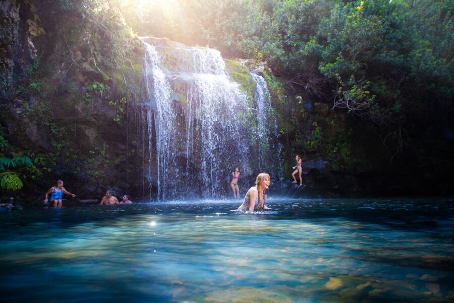 Big Island: Full-Day Kohala Zipline and Waterfall Adventure - Why This Kohala Day Works Better Than Two Separate Tours