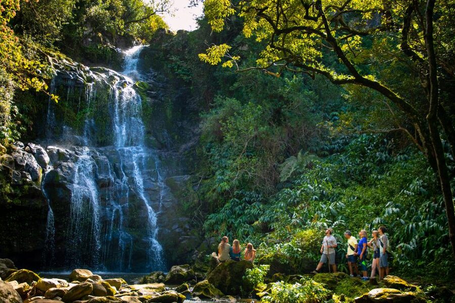 Big Island: Full-Day Kohala Zipline and Waterfall Adventure - Landing Back on Ground: Lunch With Big Views