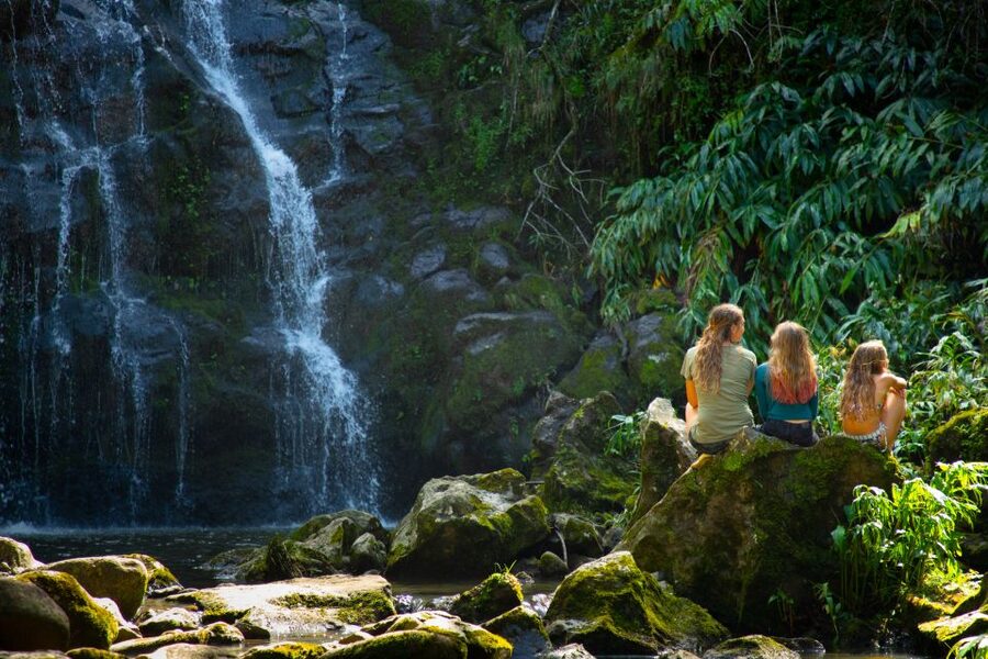 Big Island: Full-Day Kohala Zipline and Waterfall Adventure - Swimming Under a Private Waterfall: Bring the Right Shoes