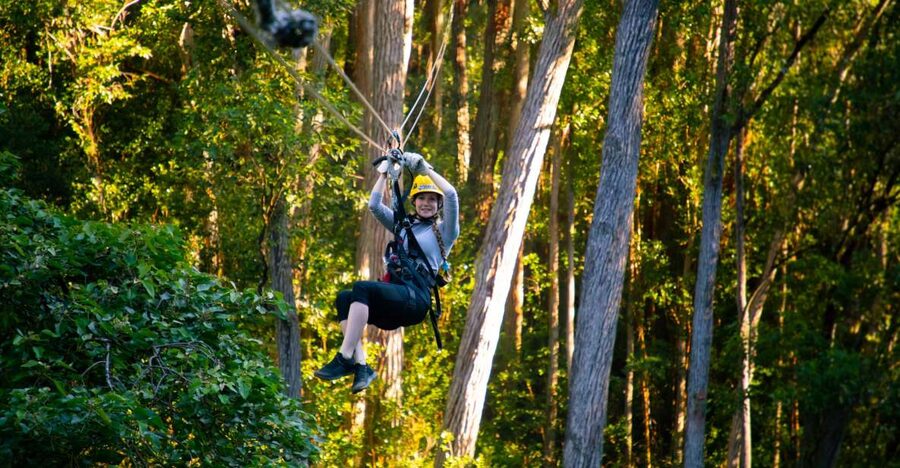 Big Island: Full-Day Kohala Zipline and Waterfall Adventure - Kona to Hawi: The Drive That Sets the Tone