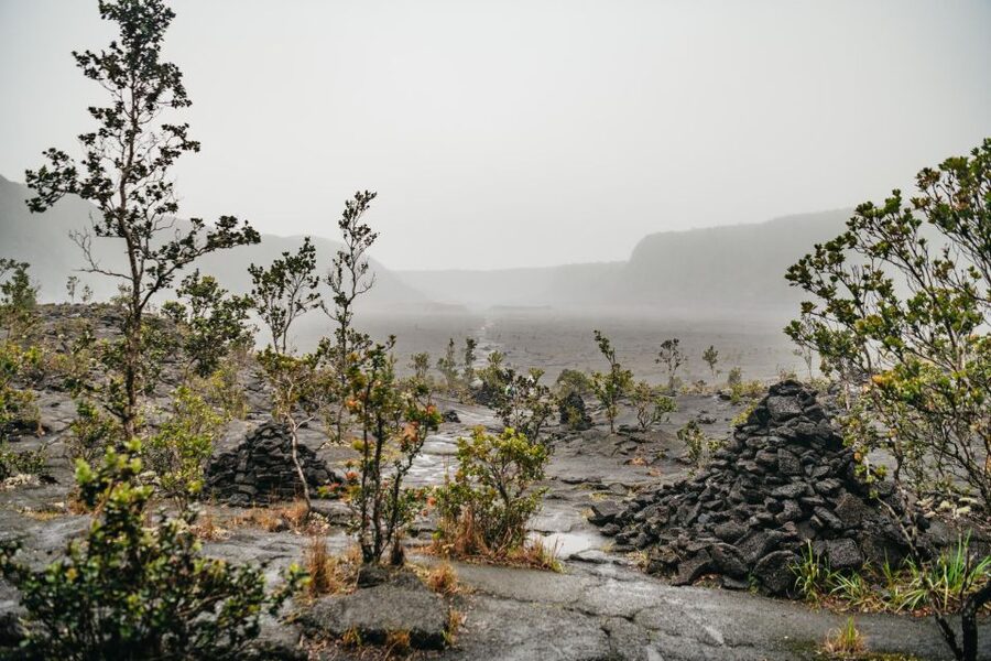 Big Island: Hawai'i Volcanoes National Park Guided Hike - Should you book the Big Island Volcanoes guided hike?