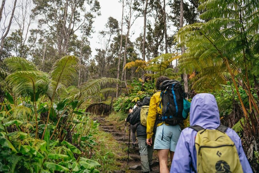 Big Island: Hawai'i Volcanoes National Park Guided Hike - Meeting at Kilauea Visitor Center and setting your hike rhythm