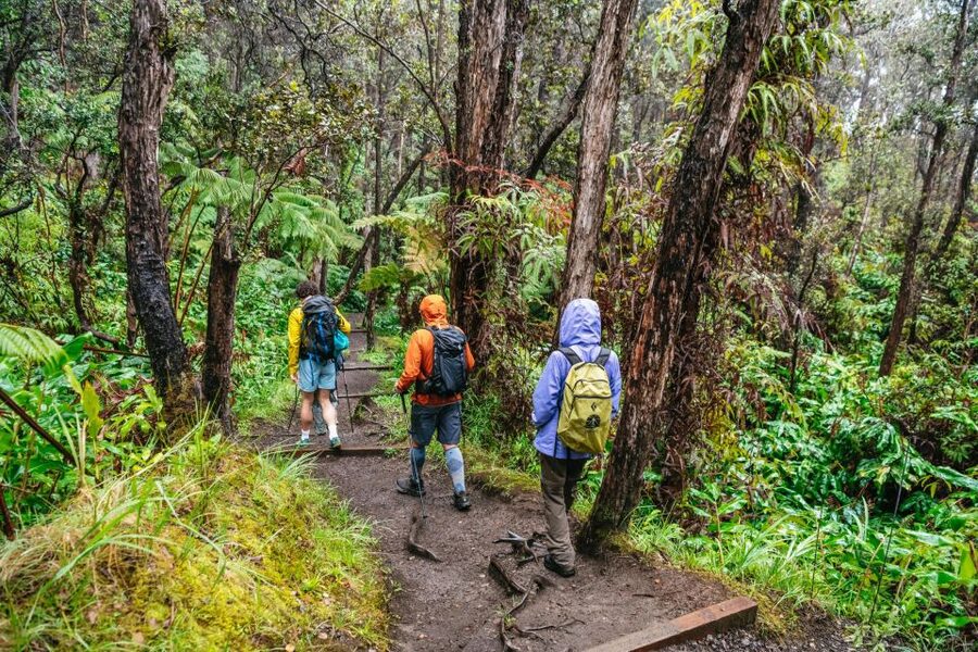 Big Island: Hawai'i Volcanoes National Park Guided Hike - Who this hike is best for (and who should choose something else)