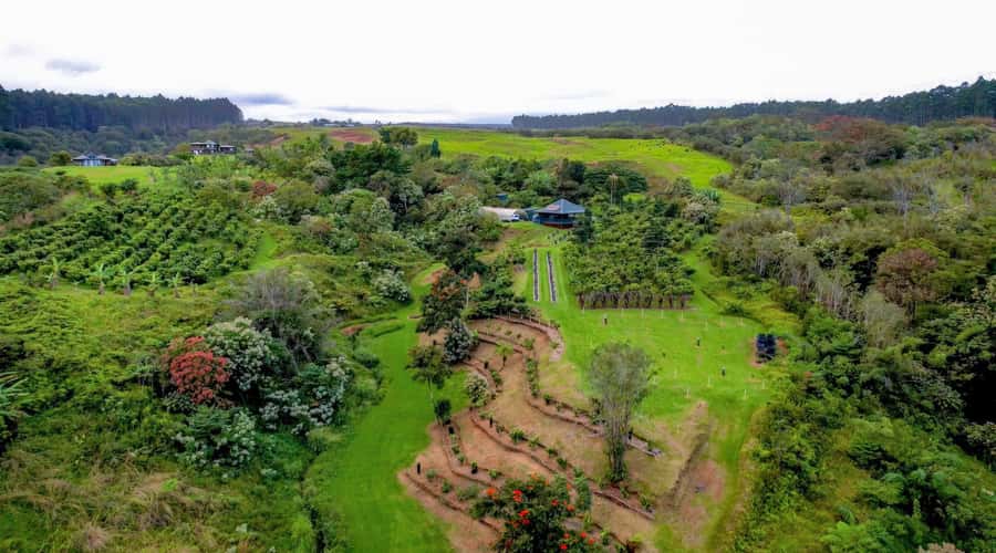 Big Island Hawaii: Craft Chocolate Tasting and Farm Tour - Key things I’d mark on your map before you go