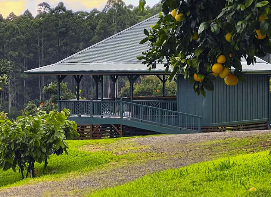Big Island Hawaii: Craft Chocolate Tasting and Farm Tour - The tasting: 10 single-origin bars plus extra cacao treats