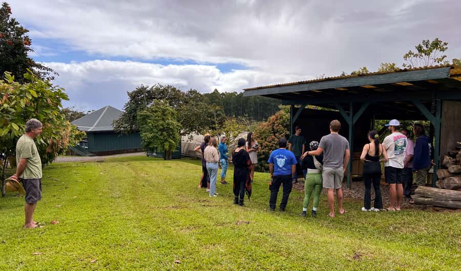 Big Island Hawaii: Craft Chocolate Tasting and Farm Tour - Who this is best for (and who should rethink)