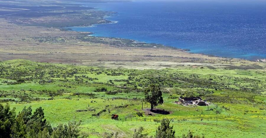 Big Island, Hawaii: Polaris Slingshot Rental - Choosing Your Own Route: You Set the Tempo