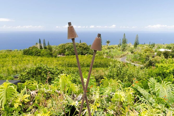 Big Island Hawaii Self-Guided Driving Tour - Hilo start: Rainbow Falls, lava heat, and the singing tire deck