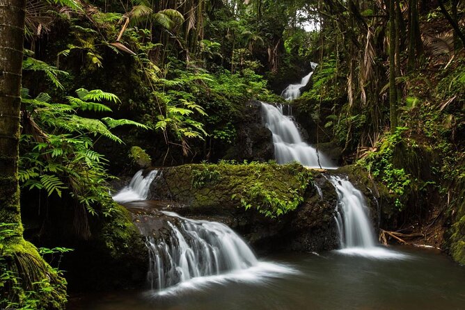 Big Island Hawaii Self-Guided Driving Tour - Price and value: $16.99 per group, not per person