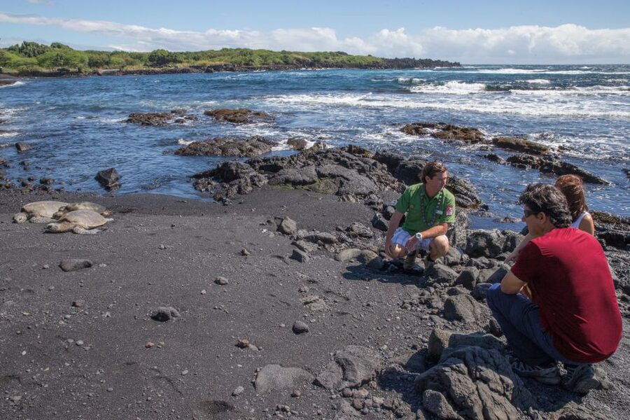 Big Island, Hawaii: Volcano and Stargazing Tour with Dinner - Price and value: is $297 worth it for a 12-hour hit list?