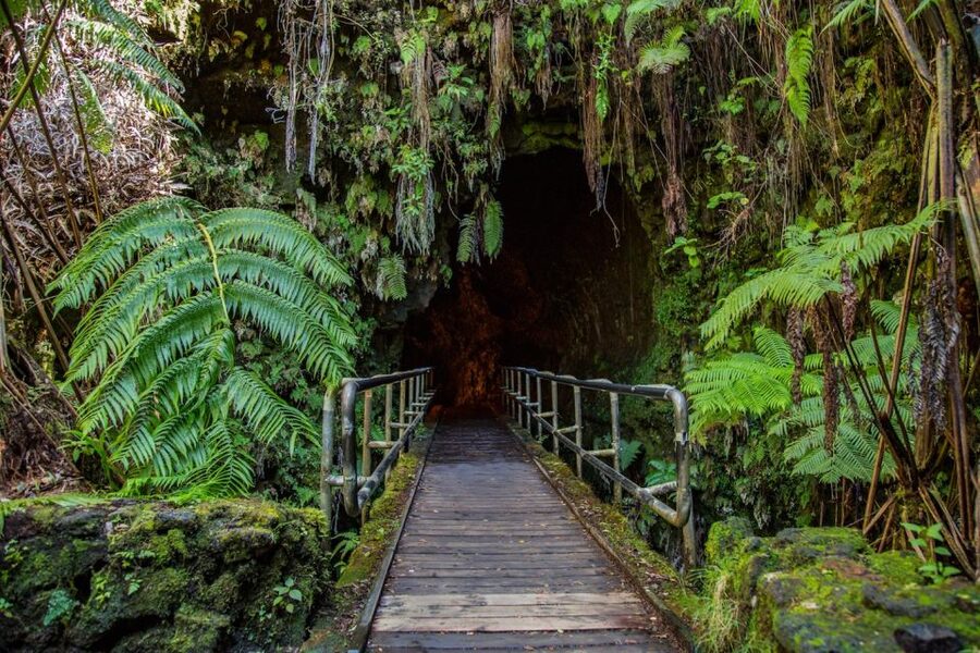 Big Island, Hawaii: Volcano and Stargazing Tour with Dinner - Final call: should you book this volcano and stargazing tour?