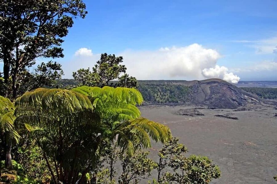 Big Island Hawaii Volcano Day tour from Oahu and Hotel PU - Hilo morning stops: Richardson Ocean Park, gardens, and the farmers market