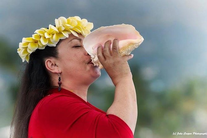 Big Island Historical Dinner Cruise to Kealakekua Bay - Kona Pier to Kealakekua Bay: the catamaran dinner plan that saves your time