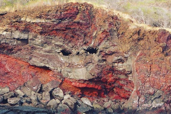 Big Island Historical Dinner Cruise to Kealakekua Bay - Who should book this dinner cruise—and who might want a different plan