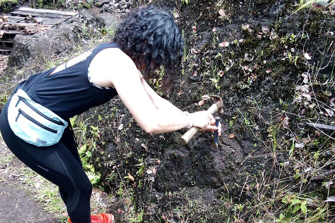 Big Island Jungle Tour with Guava Green Tea - Key highlights worth your time