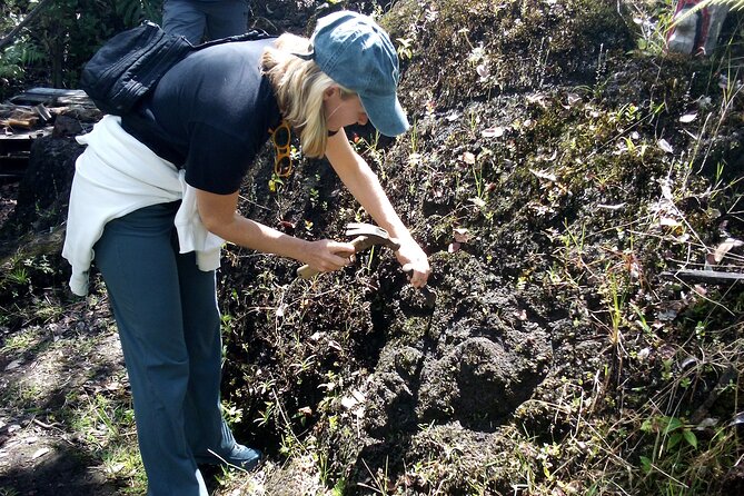 Big Island Jungle Tour with Guava Green Tea - Price and value: why $75 can feel like more than a tour
