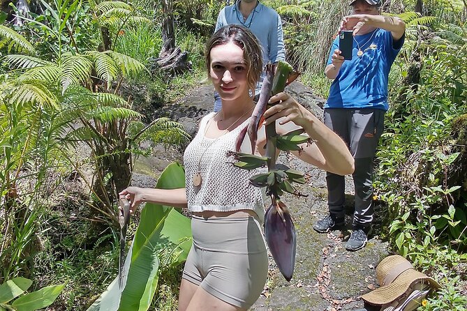 Big Island Jungle Tour with Guava Green Tea - 300 Hawaiian hapuu ferns and the banana-growing lesson