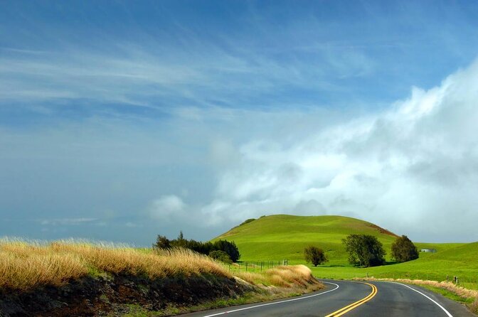 Big Island Kohala Canopy Zipline Adventure - Key things to know before you book