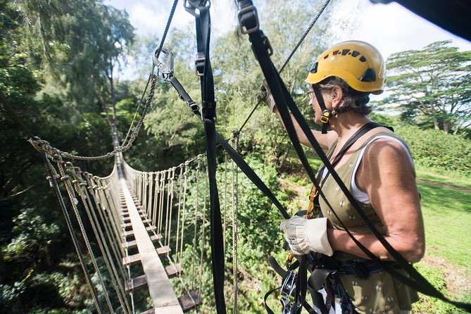 Big Island Kohala Canopy Zipline Adventure - Kohala’s Canopy Course: what you’re actually signing up for