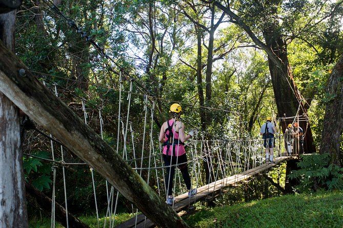 Big Island Kohala Canopy Zipline Adventure - Who should book this zipline and who should skip it