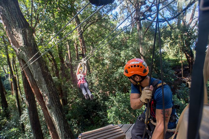 Big Island Kohala Canopy Zipline Adventure - Getting there: no hotel pickup, and that matters