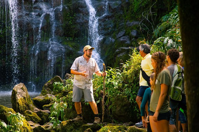 Big Island Kohala Zip and Dip Tour from Kona - The Ground Between Zips: Streams, Waterfalls, and Ancient Agricultural Sites