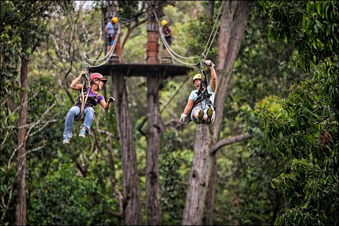 Big Island Kohala Zip and Dip Tour from Kona - What to Wear and Bring on a Zip and Dip Day