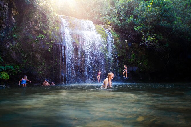 Big Island Kohala Zip and Dip Tour from Kona - Kohala Canopy Zipline: 8 Lines, 6 Bridges, and a Repel at the End