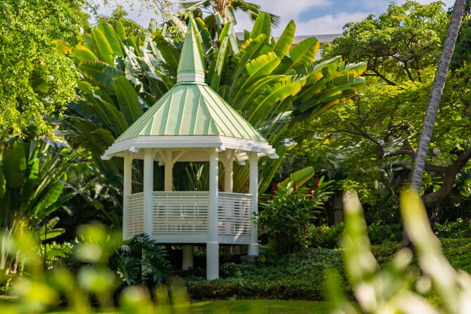 Big Island, Kona Hawaii Photographer - Outrigger Mini Session - Price and value: is $525 a good deal for Kona family photos?