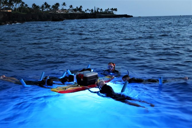 Big Island: Kona Manta Ray Snorkel Tour in Keauhou Harbor - What You Learn in the Water (Names You Might Hear)