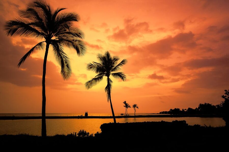 Big Island: Luxury Catamaran Trip along the Kona Coast - Who Should Book This Boat Trip on Kona?