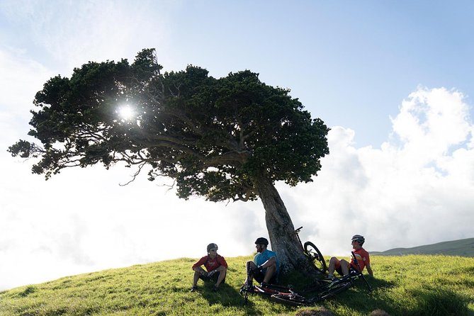 Big Island Mountain Biking on Anna Ranch - Full-suspension bikes, helmets, and what’s actually included