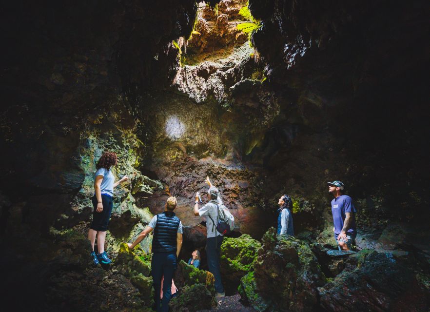 Big Island: Off the Beaten Path Volcano Crater Hike - Why this hike feels different from the usual Big Island stops